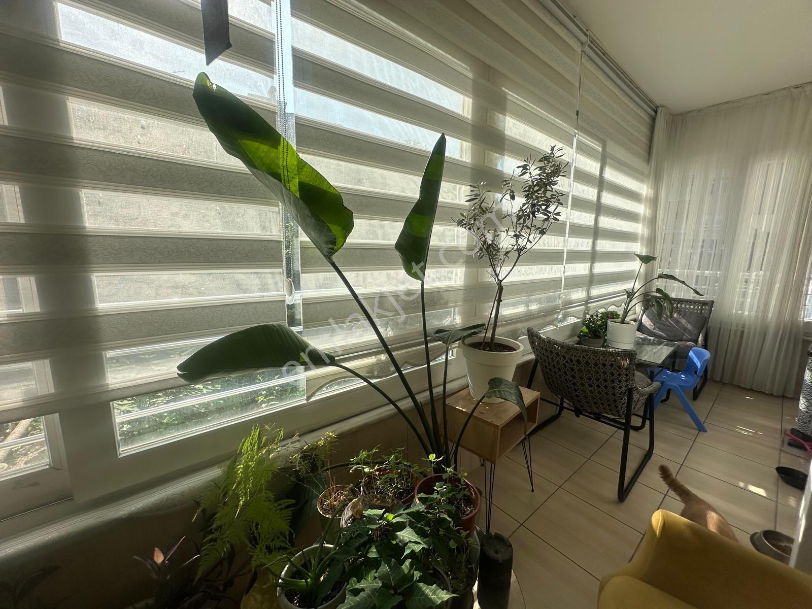 Alanya Güllerpınarı Mah.denize 300 Mt.eşyalı Satılık 3+1 Daire - Görsel 7