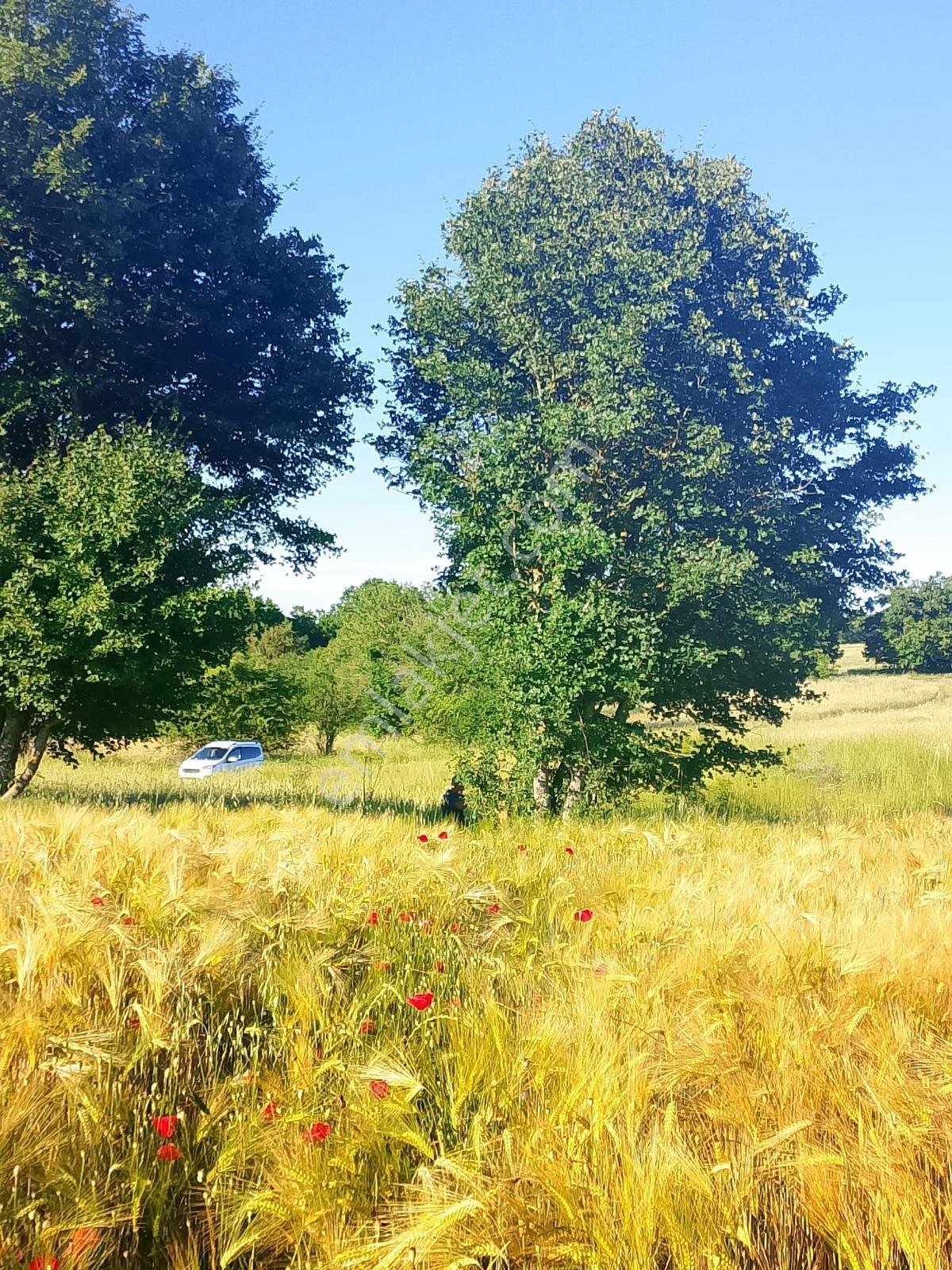 Vize'de Doğa Turizmi Bölgesinde Uygun Fiyat Tek Tapu 1168 M² - Görsel 25