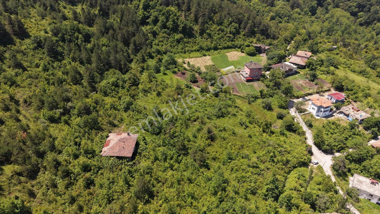 Türkan Emlaktan Gebeşte 1819 M² Deniz Manzaralı Arsa - Görsel 3