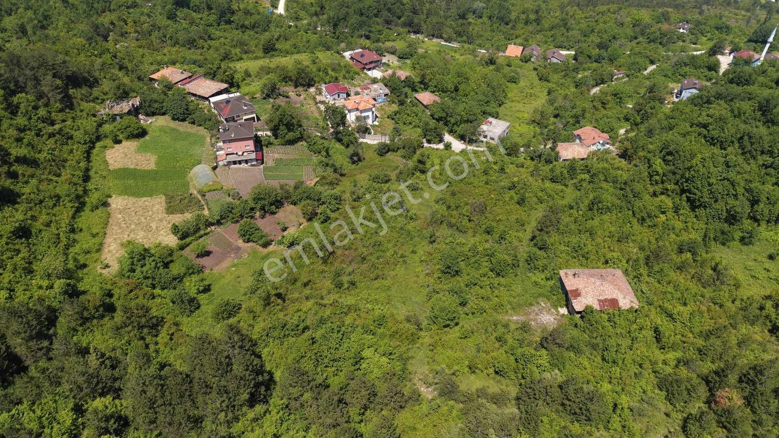 Türkan Emlaktan Gebeşte 1819 M² Deniz Manzaralı Arsa - Görsel 4