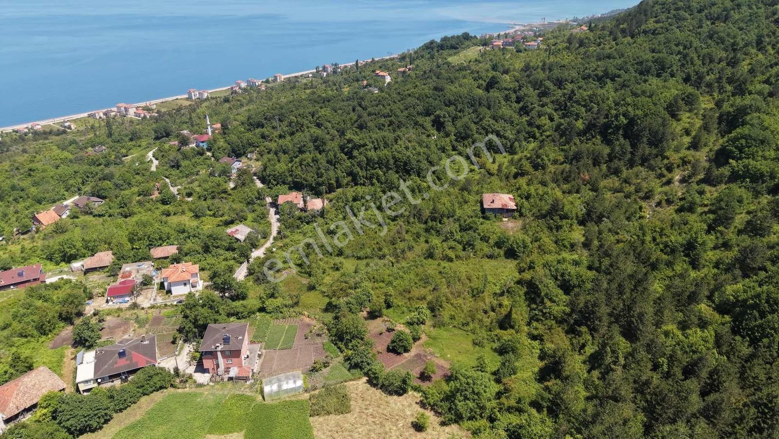 Türkan Emlaktan Gebeşte 1819 M² Deniz Manzaralı Arsa - Görsel 6