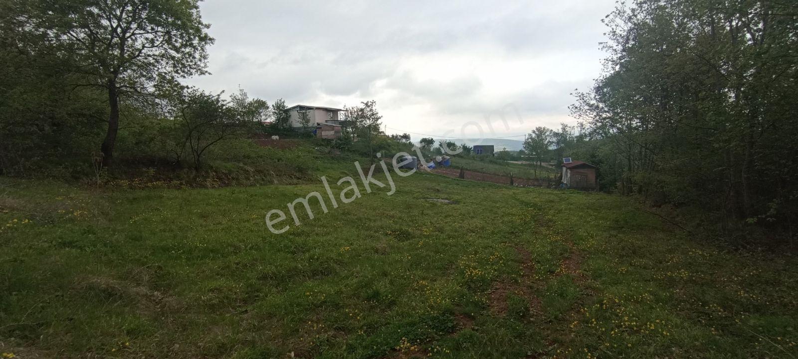 Bursa Kestel Lütfiye 837 M2 Tek Tapu Kupon Tarla - Görsel 7