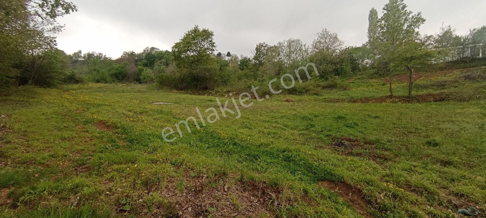 Bursa Kestel Lütfiye 837 M2 Tek Tapu Kupon Tarla - Görsel 9