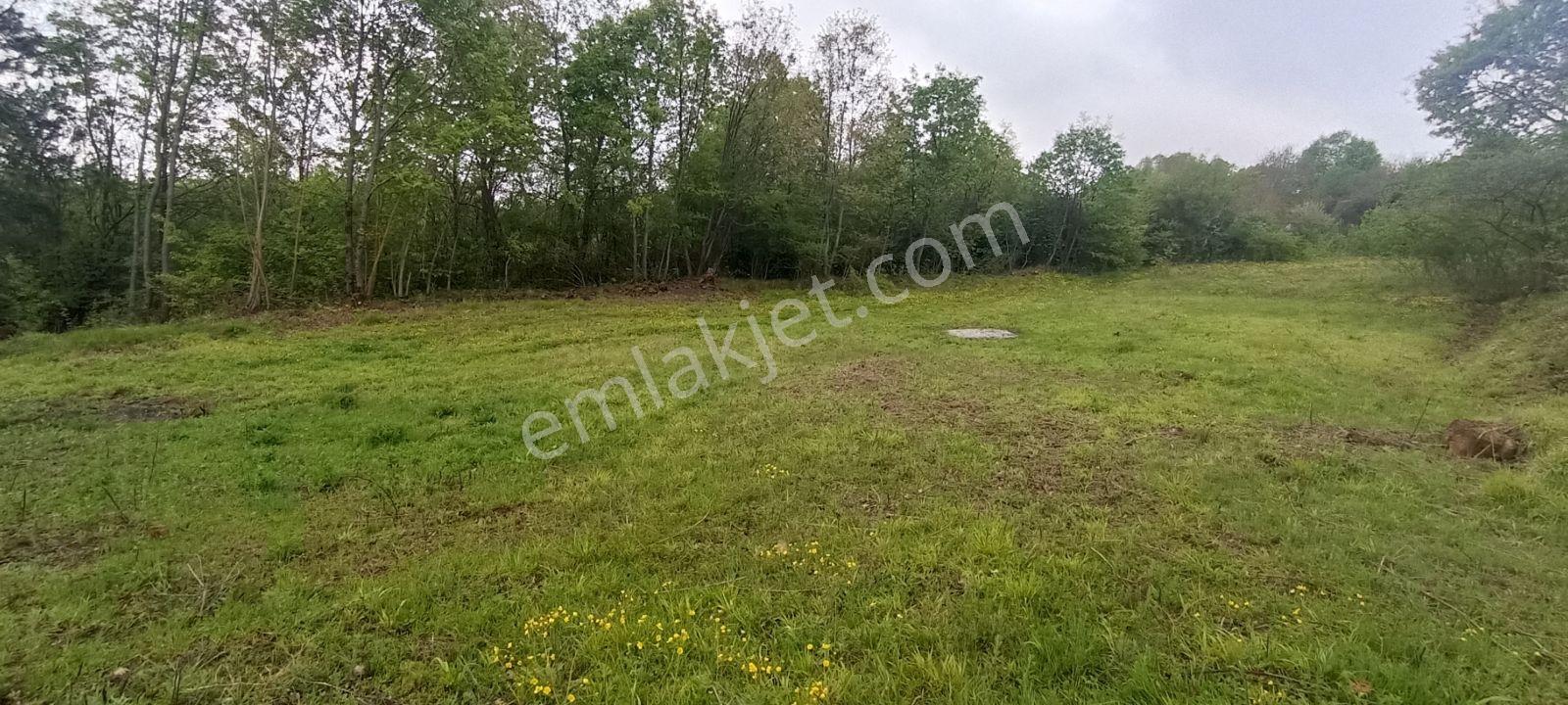 Bursa Kestel Lütfiye 837 M2 Tek Tapu Kupon Tarla