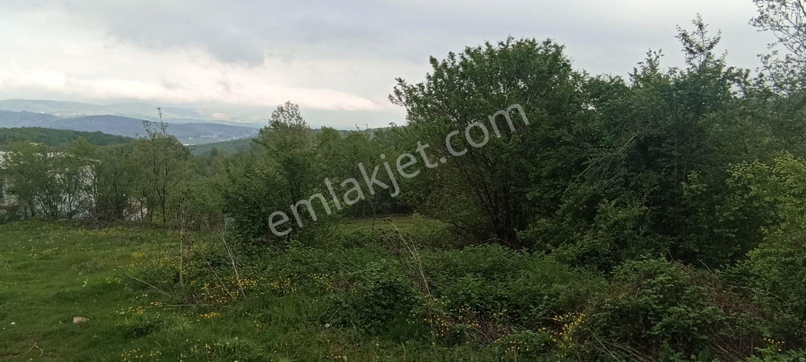 Bursa Kestel Lütfiye 837 M2 Tek Tapu Kupon Tarla - Görsel 8