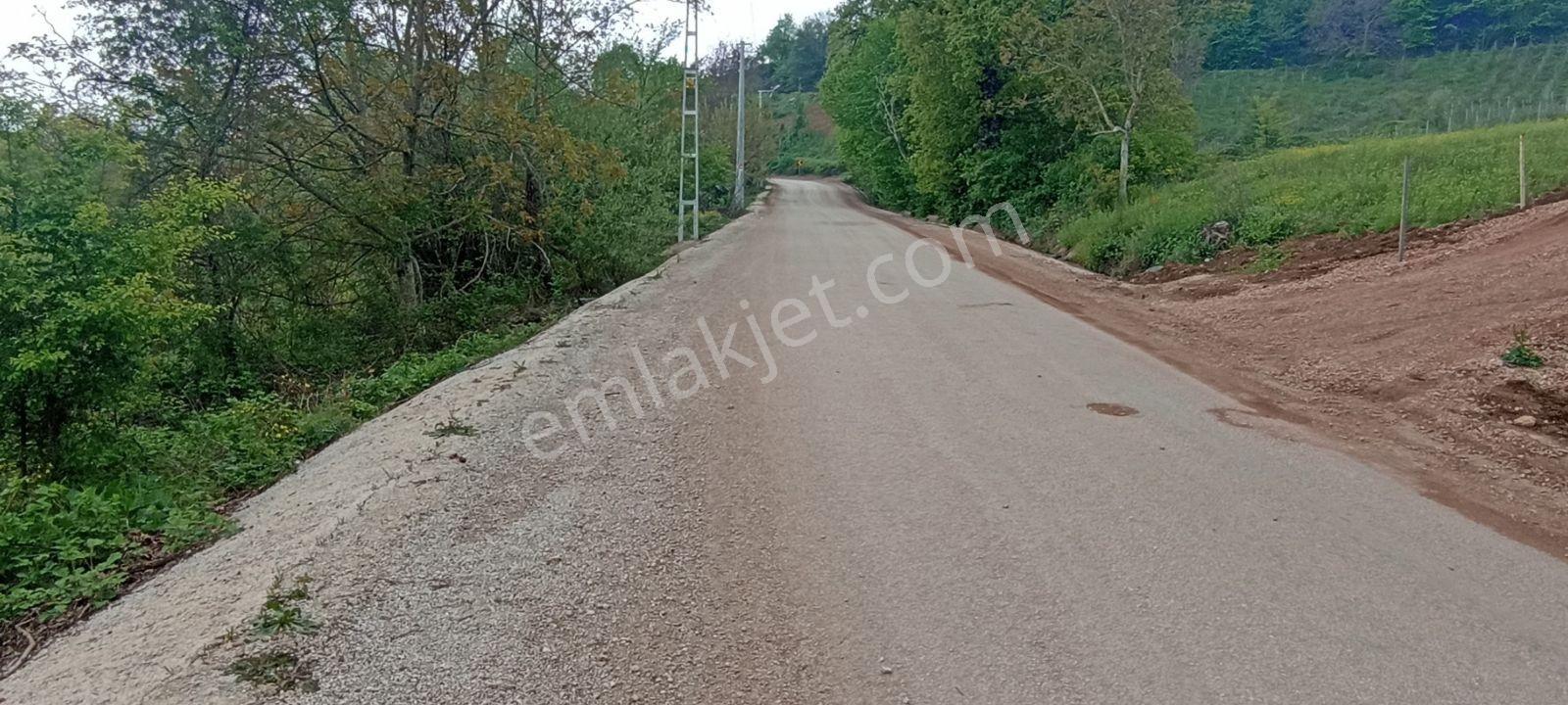 Bursa Kestel Lütfiye 837 M2 Tek Tapu Kupon Tarla - Görsel 5