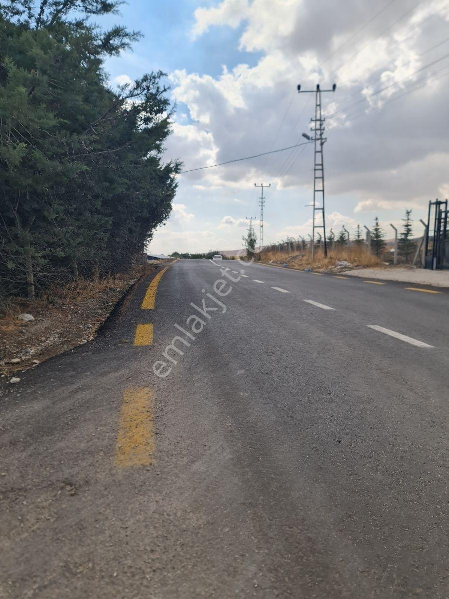 Memlik'te Yol Kenarı Telle Çevrili Köşe Başı Tapulu Hobi Bahçesi - Görsel 9