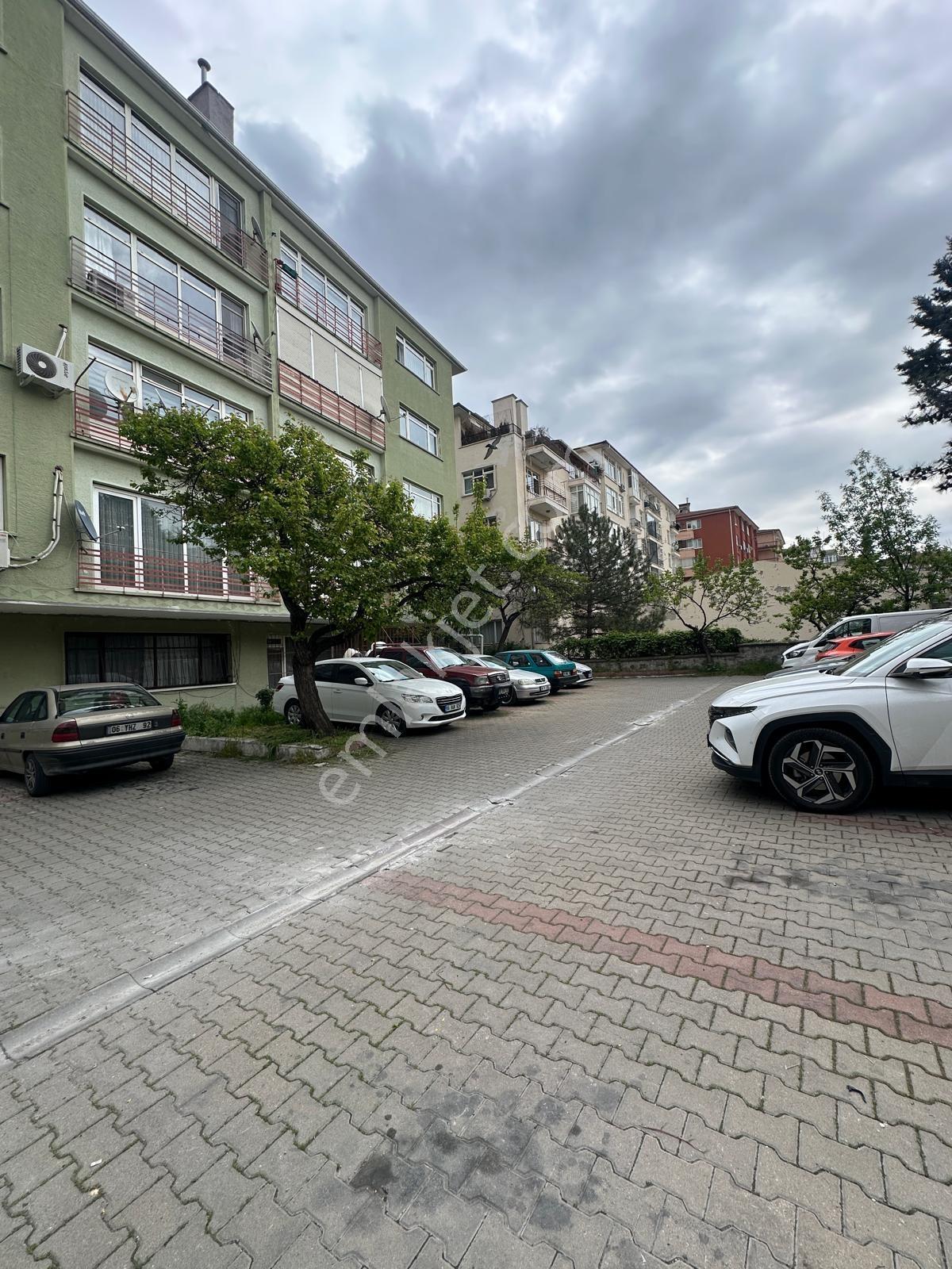 Küçükesat Cadde Üzerinde Devren Kiralık Prestijli Optik Mağazası - Görsel 30