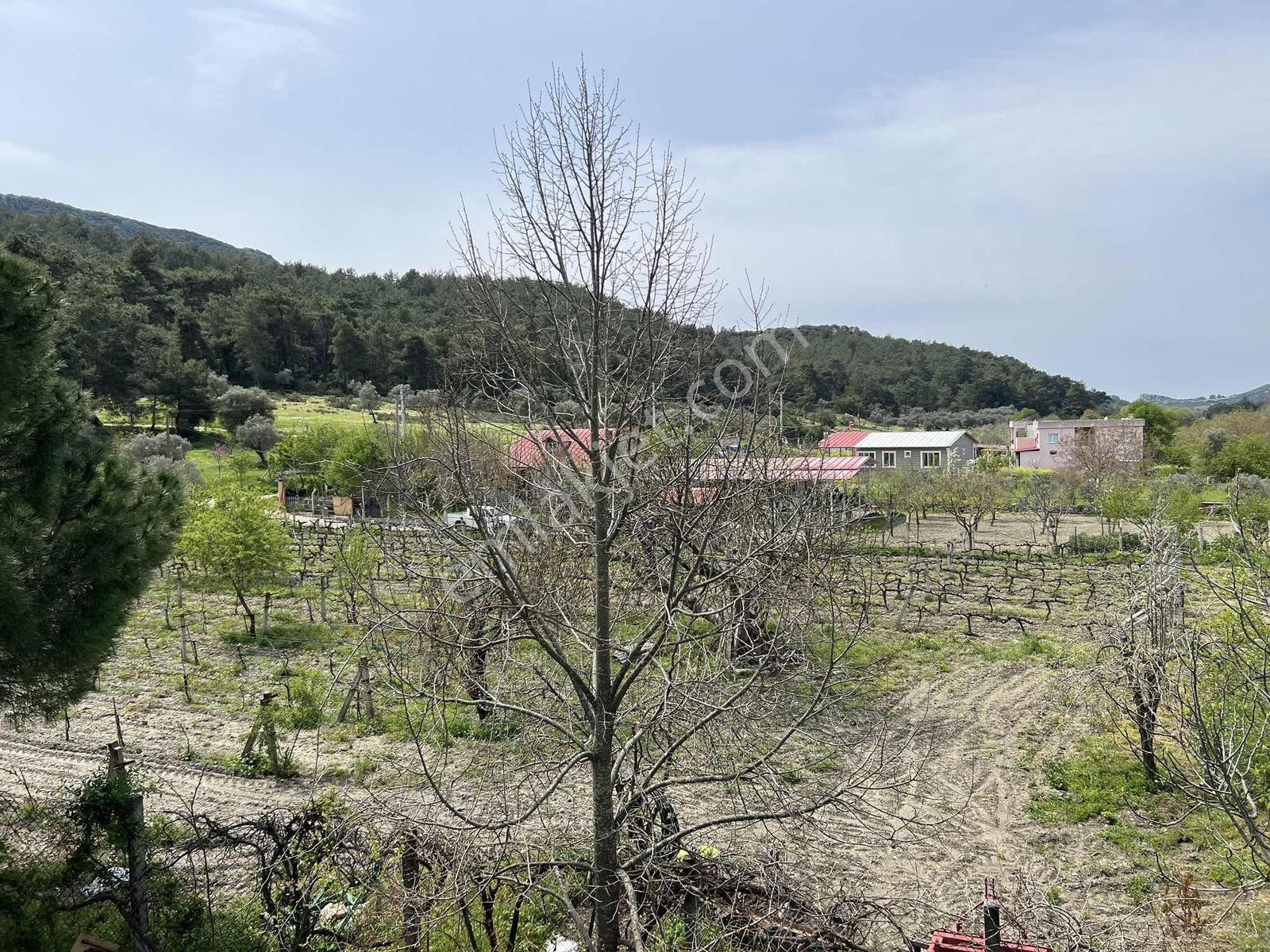 Kuşadası Kirazlı Köyünde Huzur - Görsel 18