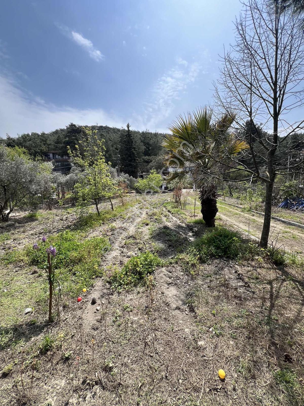 Kuşadası Kirazlı Köyünde Huzur - Görsel 5