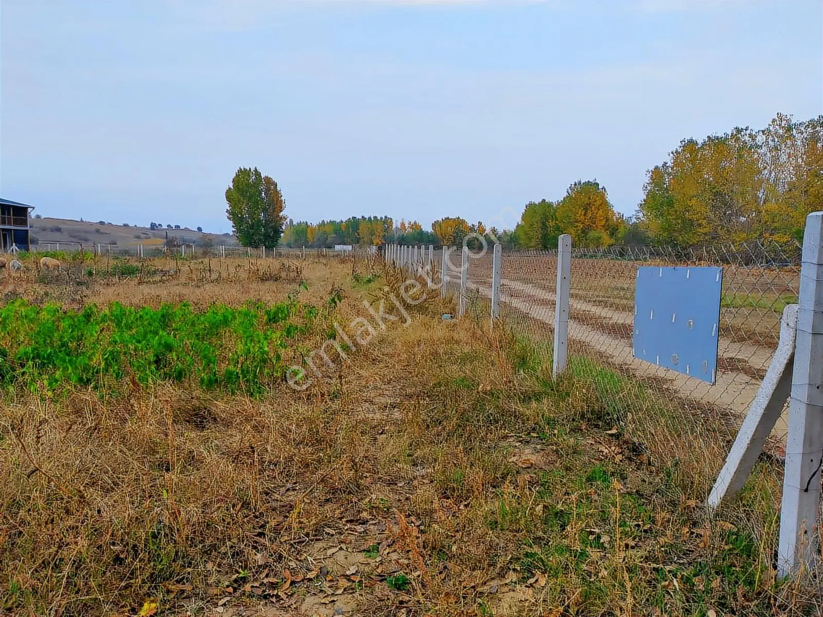 Kırklareli Paşayeri Köyünde Konut İmarlı Satılık 1600 M2 Arsa - Görsel 2
