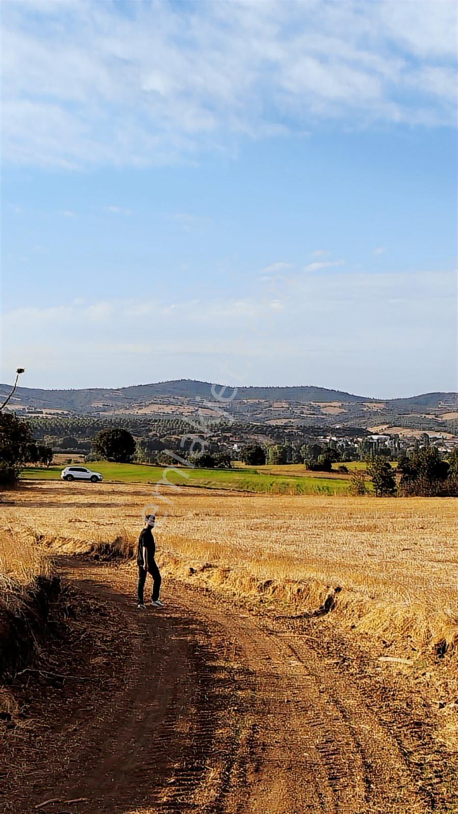 Çanakkale Biga Çınardere Köyü Satılık Bağ Müstakil Tapu - Görsel 12