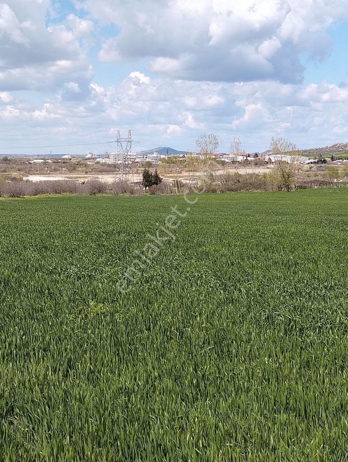 Kırklareli Camııkebır Yatırımlık Araziler - Görsel 11