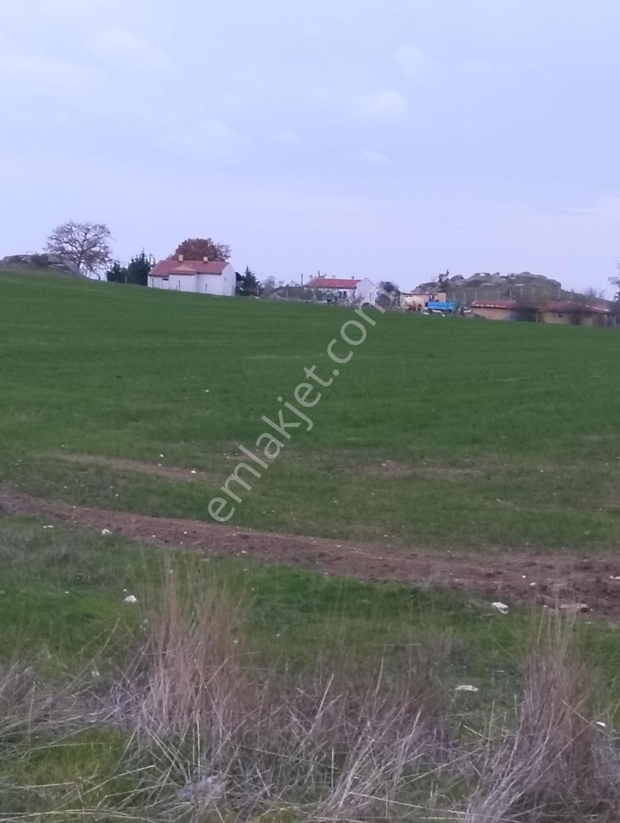 Kırklareli Merkez Demircihalil 16 Dönüm Satılık Projelik Arazi - Görsel 10