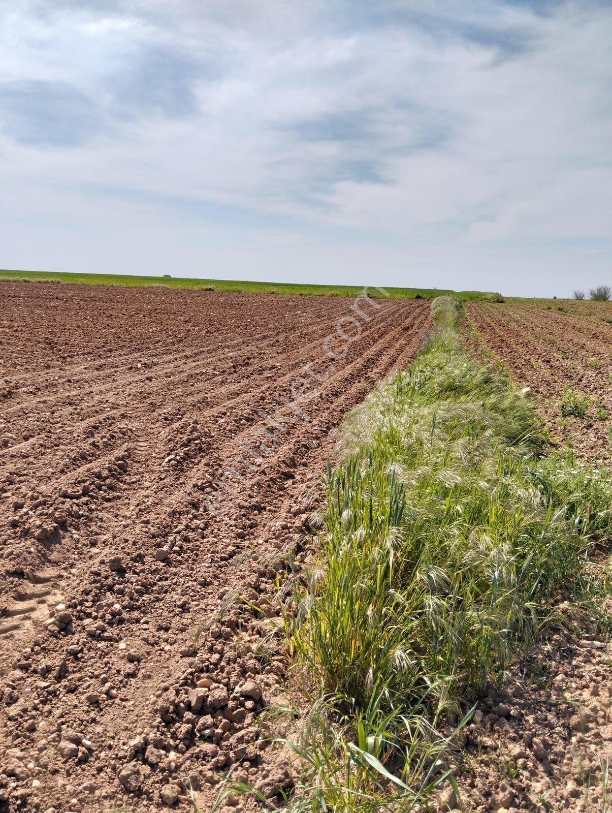 Kırklareli Karıncak Köyü'nde Satılık 10.729 M2 Tarla - Görsel 2