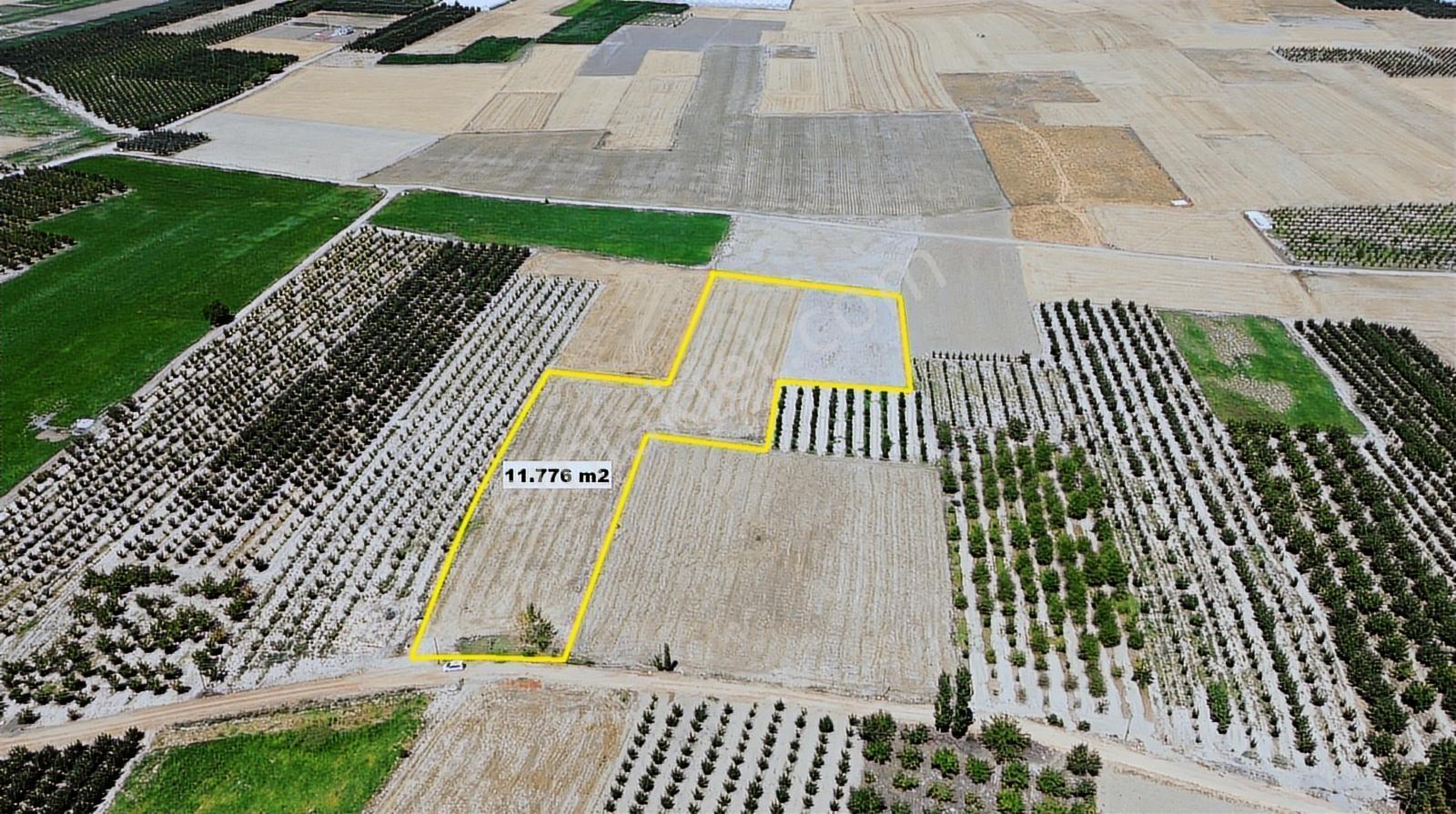 Vıp Gayrimenkul' Den Bayralarda 11.776 M2 Muhteşem Arazi - Görsel 3