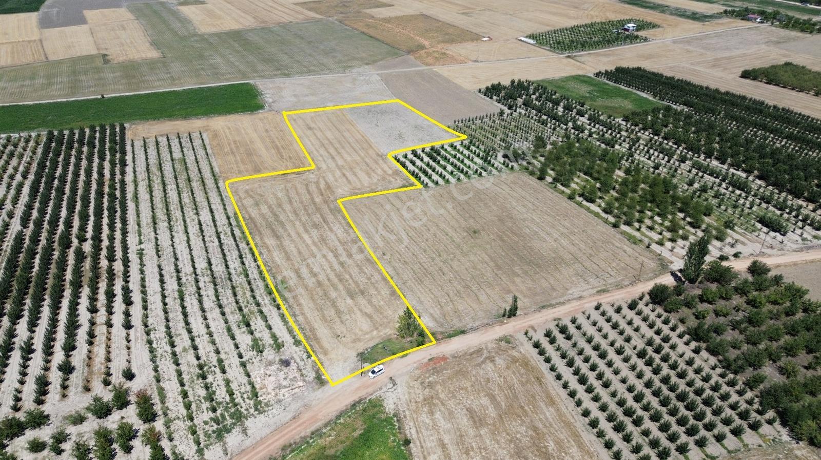 Vıp Gayrimenkul' Den Bayralarda 11.776 M2 Muhteşem Arazi - Görsel 6