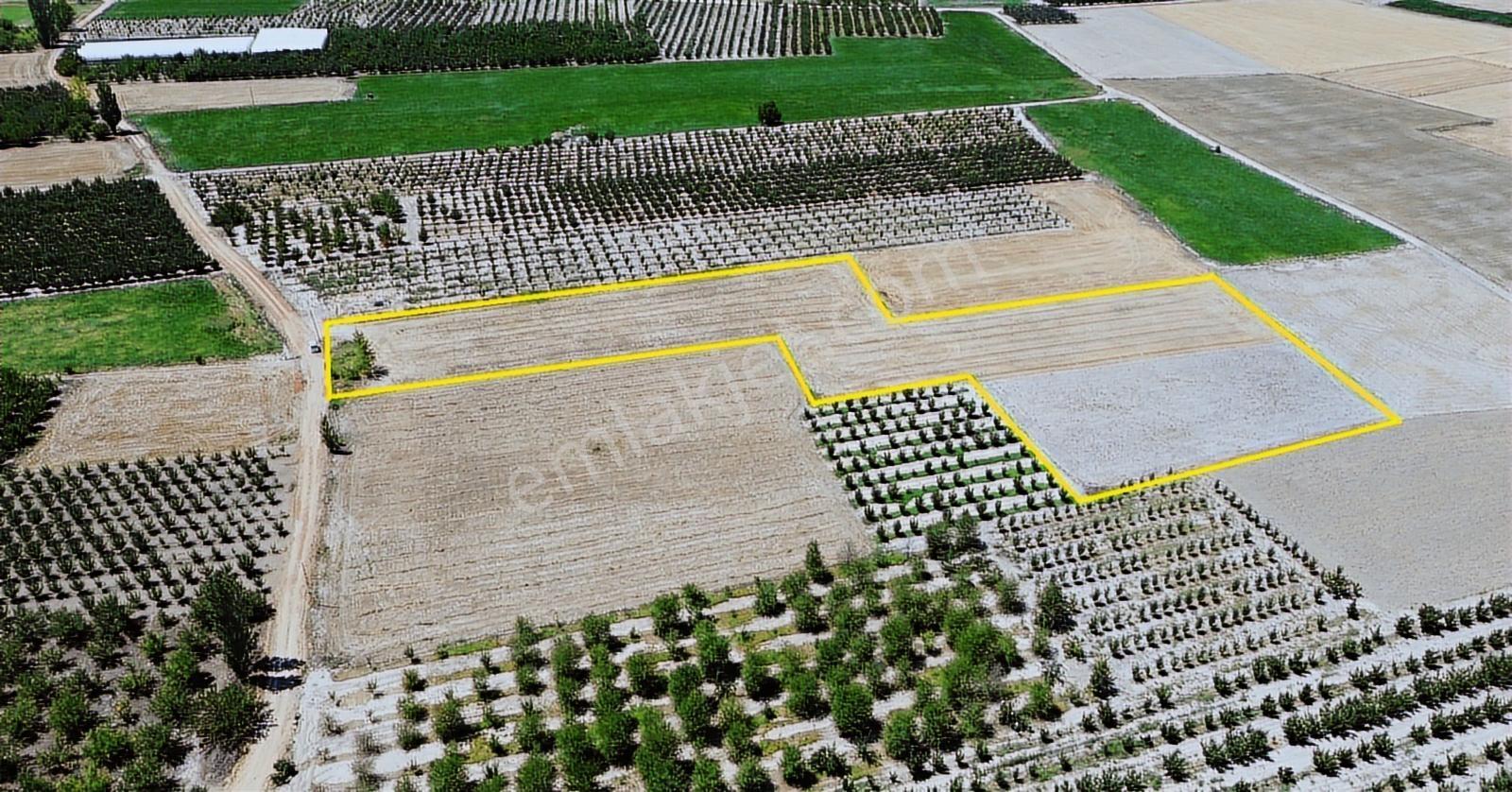 Vıp Gayrimenkul' Den Bayralarda 11.776 M2 Muhteşem Arazi - Görsel 8