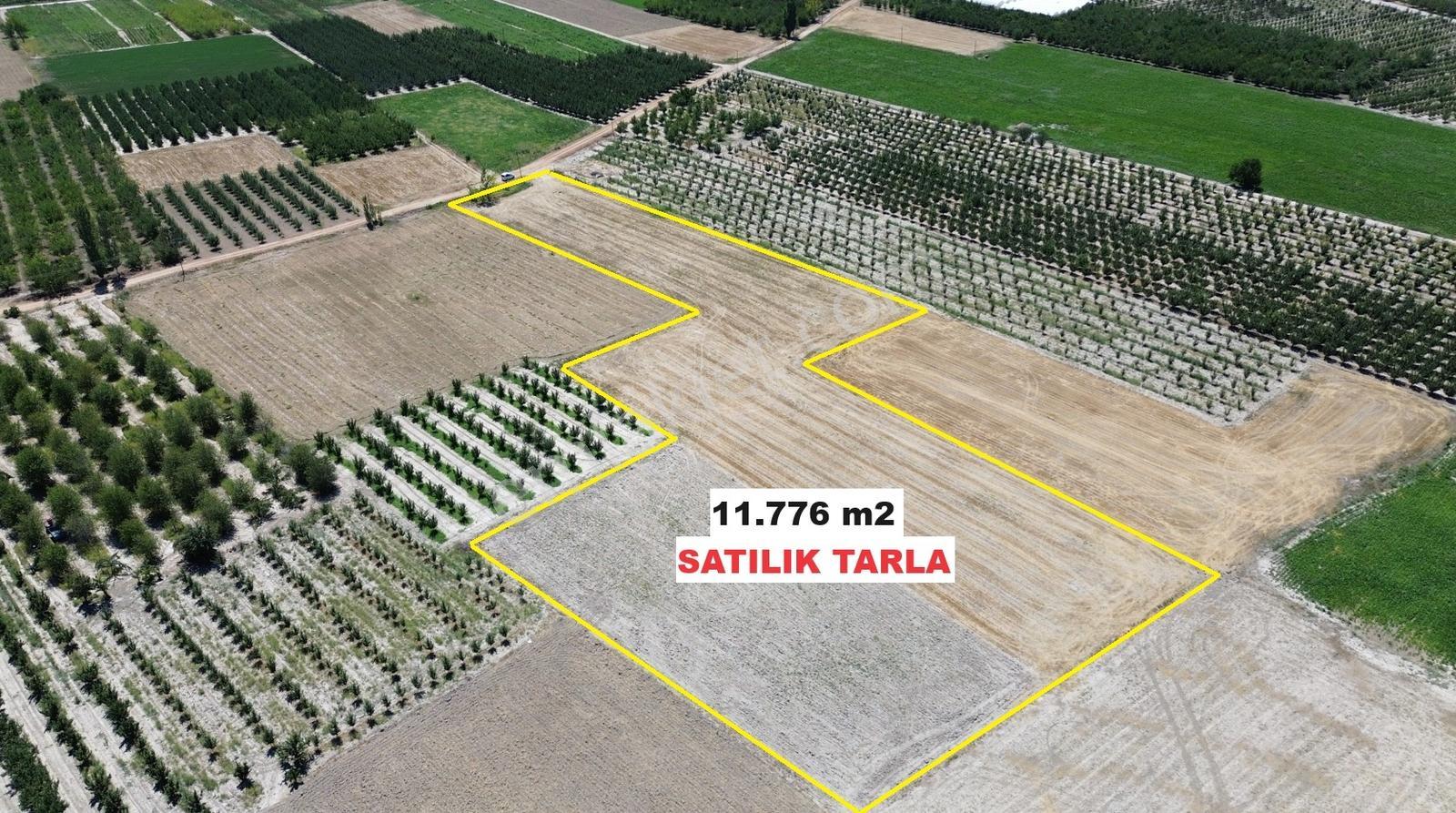 Vıp Gayrimenkul' Den Bayralarda 11.776 M2 Muhteşem Arazi - Görsel 5