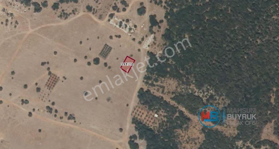 Didim Akyeniköy Mahallesi Balova 2 Mevkisi Satılık İmarlı Arsa - Görsel 4
