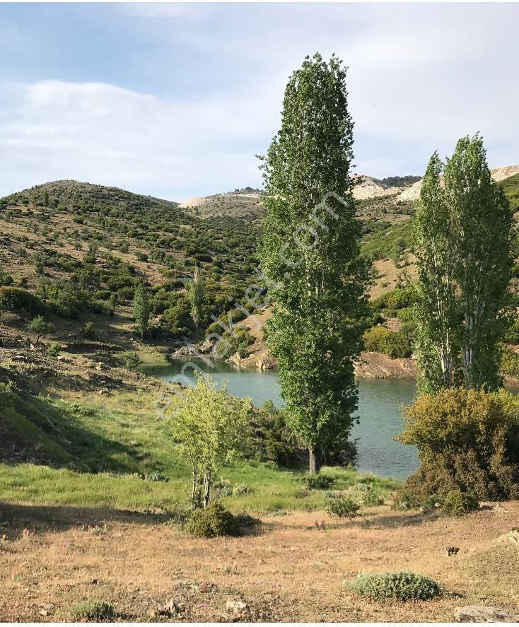 Çölgezen Gayrimenkulden 3 Tapu Tek Fiyat Satılık Tarla - Görsel 12