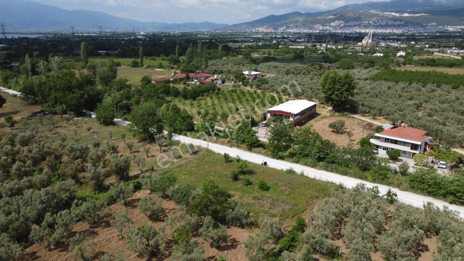 Yeniköy Altı Kuzuluk Mevkinde Hobi Bahçesine Uygun 750 M² Tarla - Görsel 11