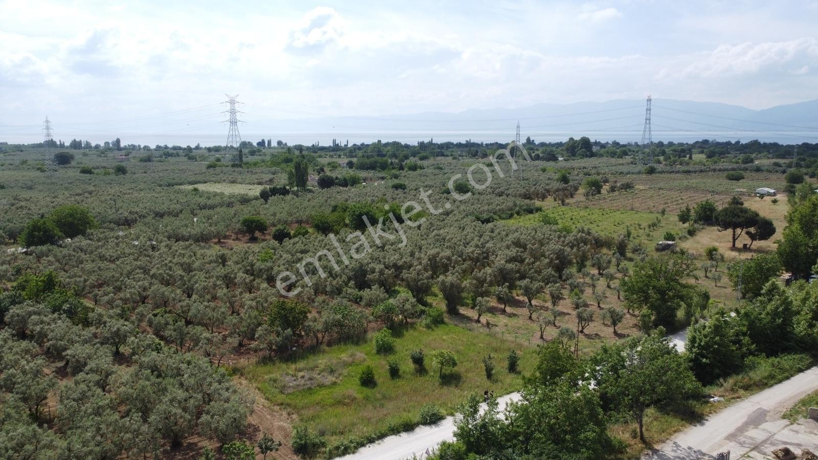 Yeniköy Altı Kuzuluk Mevkinde Hobi Bahçesine Uygun 750 M² Tarla - Görsel 15