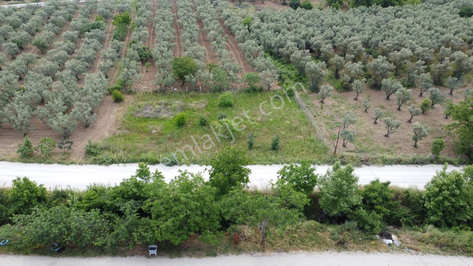 Yeniköy Altı Kuzuluk Mevkinde Hobi Bahçesine Uygun 750 M² Tarla - Görsel 34