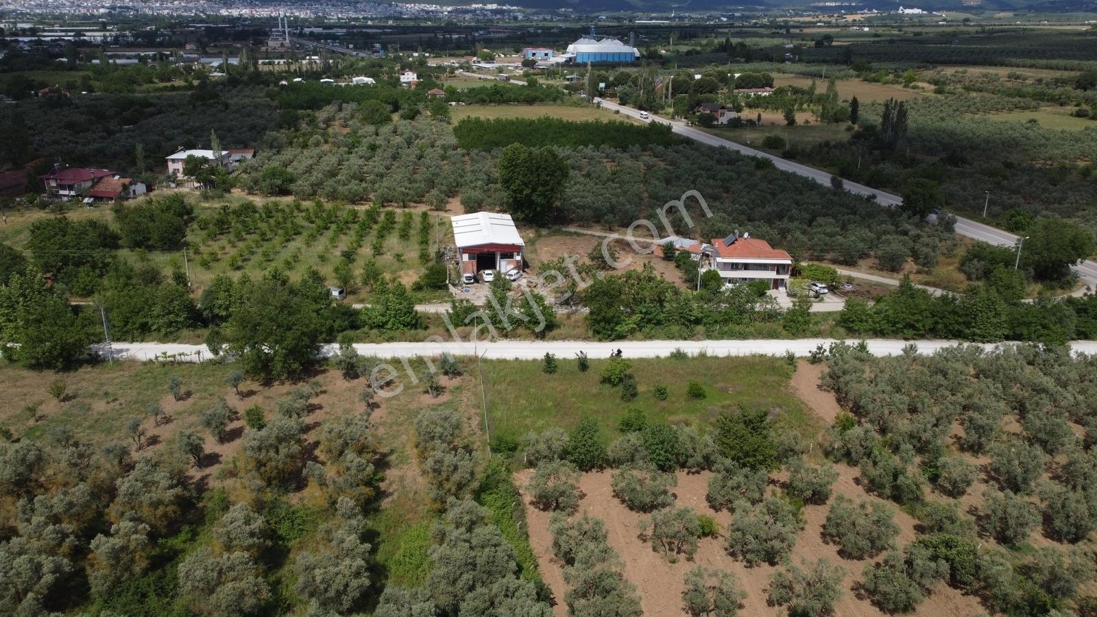 Yeniköy Altı Kuzuluk Mevkinde Hobi Bahçesine Uygun 750 M² Tarla - Görsel 8