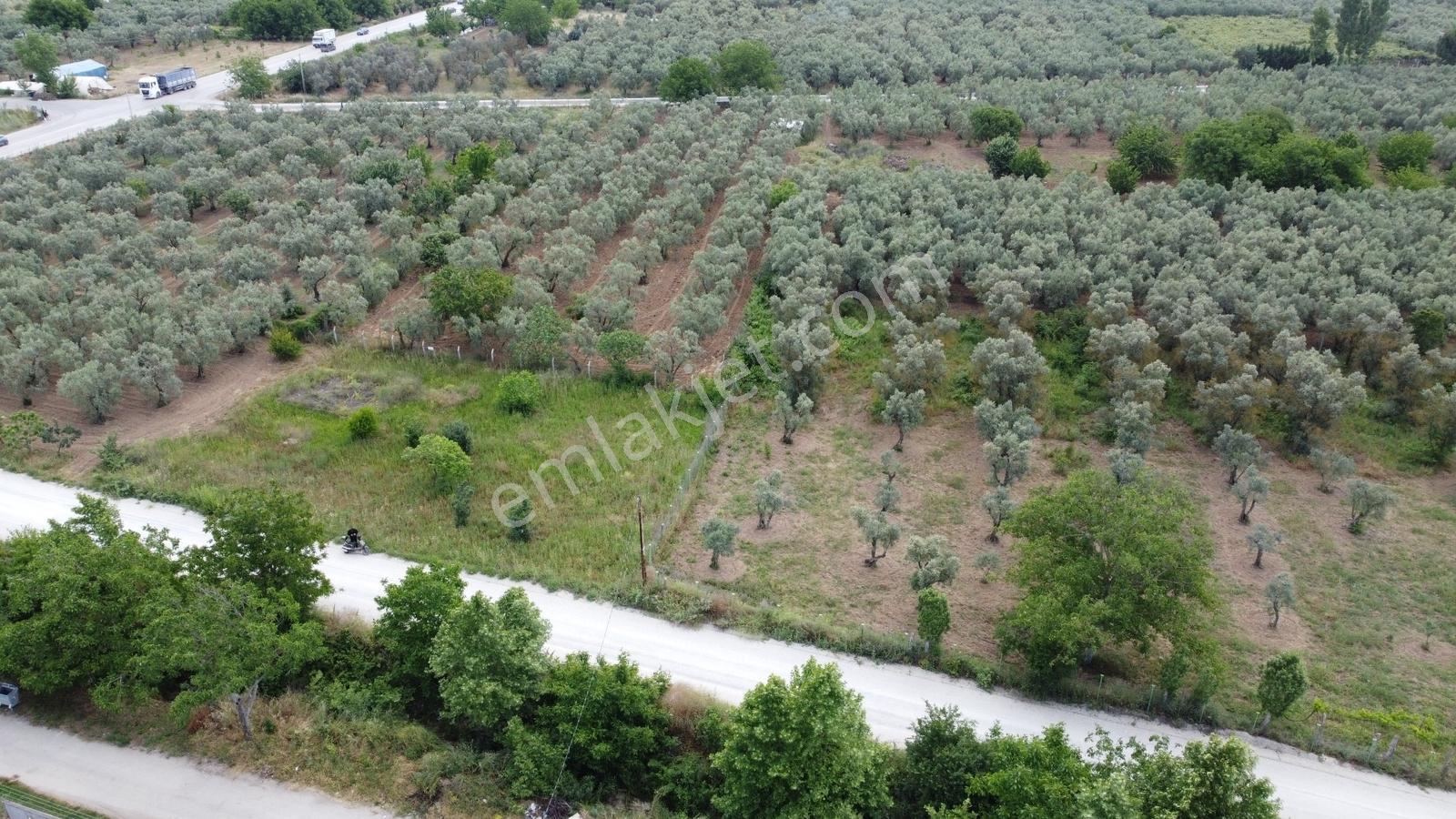 Yeniköy Altı Kuzuluk Mevkinde Hobi Bahçesine Uygun 750 M² Tarla - Görsel 26