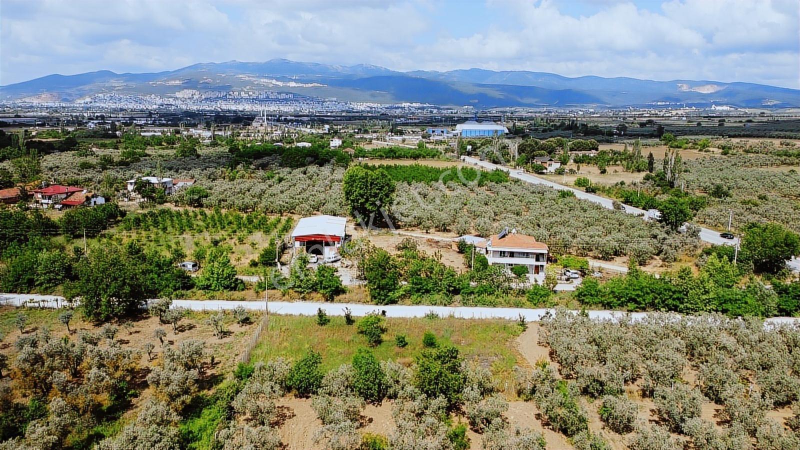 Yeniköy Altı Kuzuluk Mevkinde Hobi Bahçesine Uygun 750 M² Tarla - Görsel 10