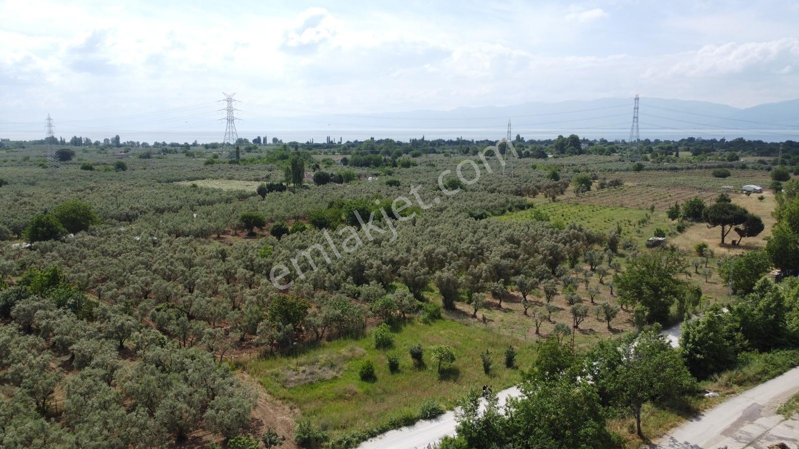 Yeniköy Altı Kuzuluk Mevkinde Hobi Bahçesine Uygun 750 M² Tarla - Görsel 20