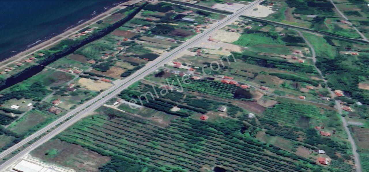 Samsun Terme'de Ticari + Konut İmarlı, 2.850 M², Yola Cephe Arsa - Görsel 10