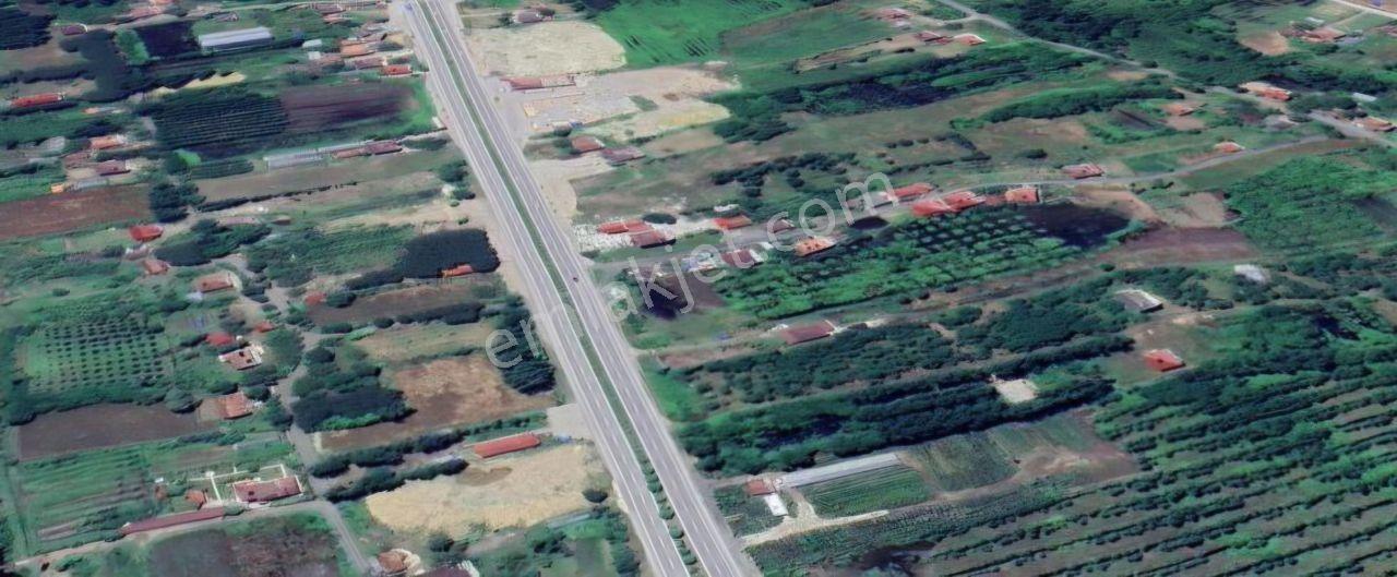 Samsun Terme'de Ticari + Konut İmarlı, 2.850 M², Yola Cephe Arsa - Görsel 11