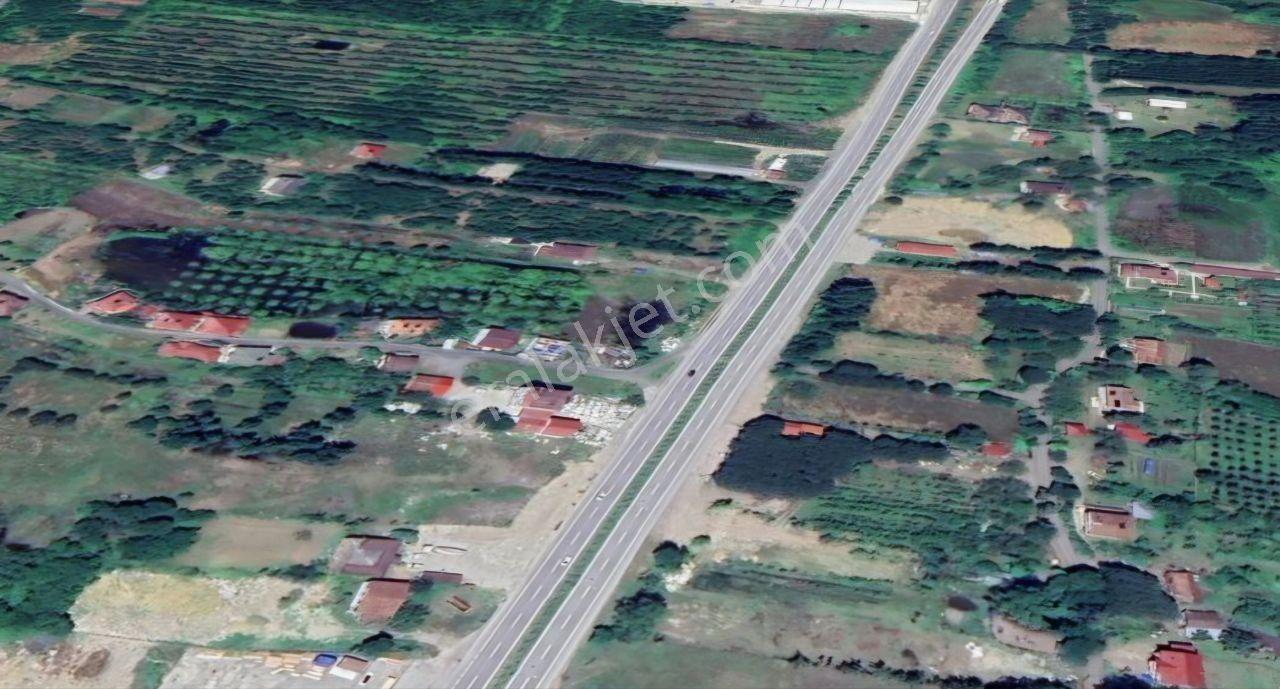 Samsun Terme'de Ticari + Konut İmarlı, 2.850 M², Yola Cephe Arsa - Görsel 8