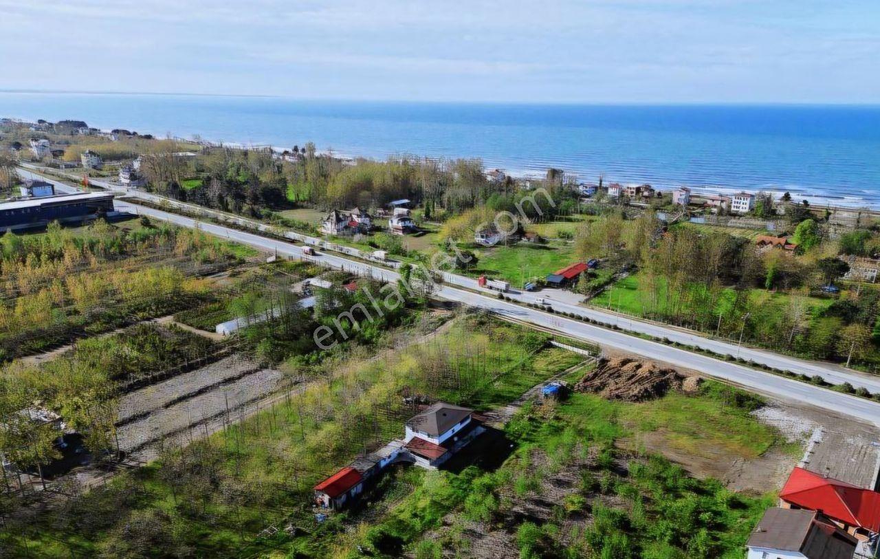 Samsun Terme'de Ticari + Konut İmarlı, 2.850 M², Yola Cephe Arsa - Görsel 4