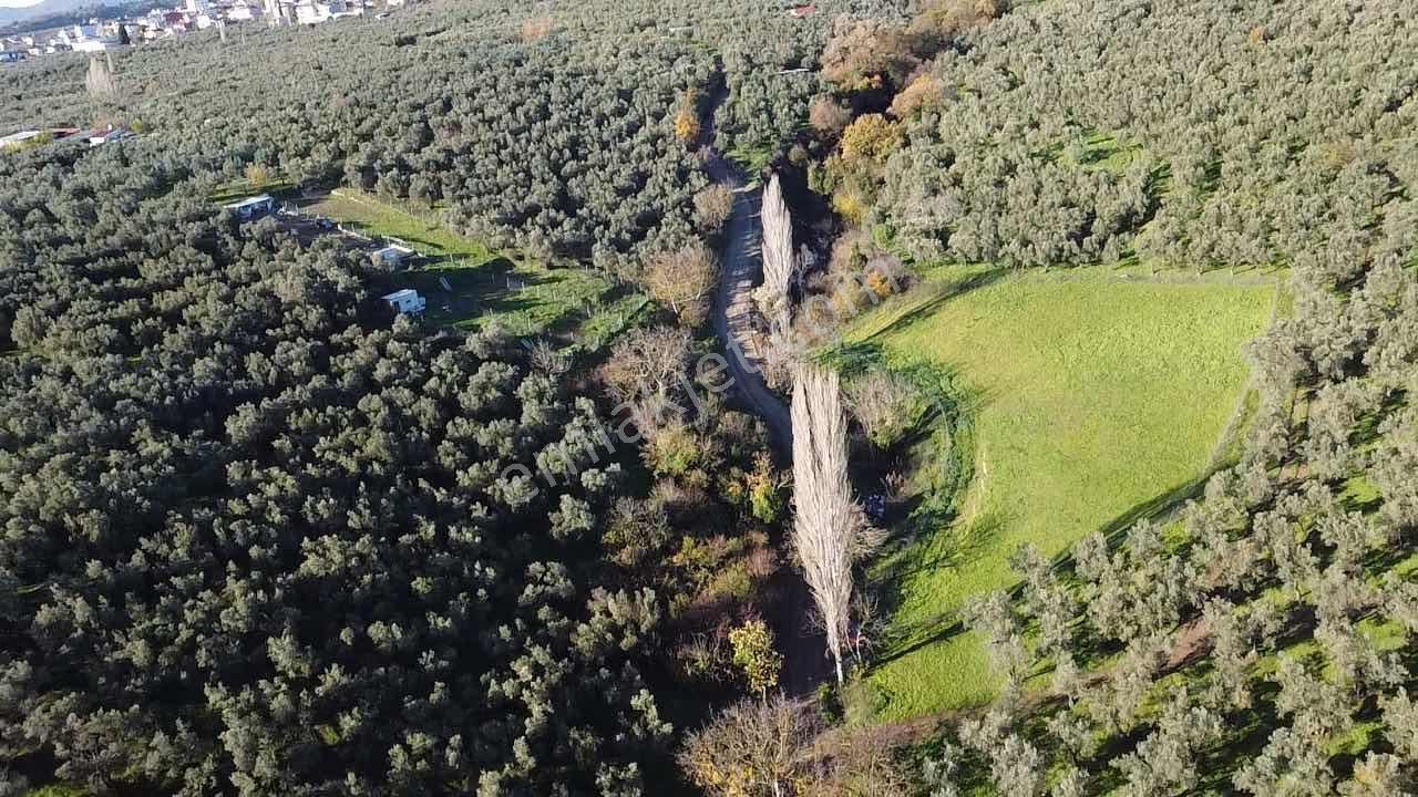 Beka Gayrimenkul'den Yeniköy De 2561 M2 Göl Manzaralı Boş Tarla - Görsel 14