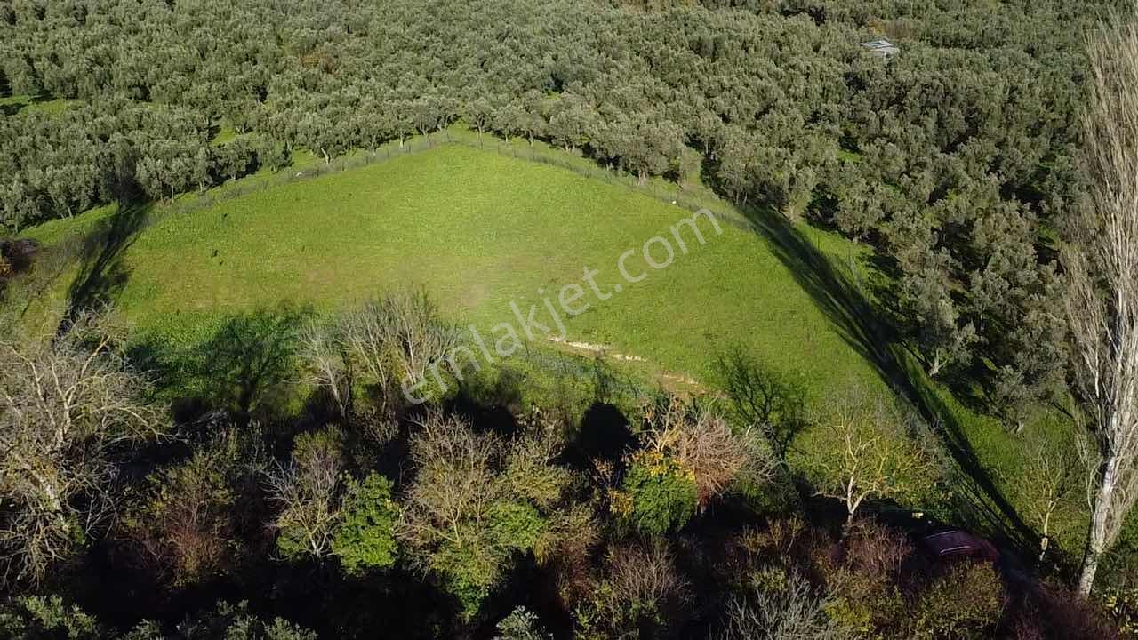 Beka Gayrimenkul'den Yeniköy De 2561 M2 Göl Manzaralı Boş Tarla - Görsel 28