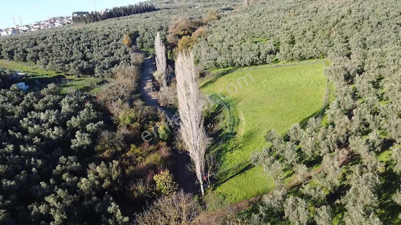 Beka Gayrimenkul'den Yeniköy De 2561 M2 Göl Manzaralı Boş Tarla - Görsel 35