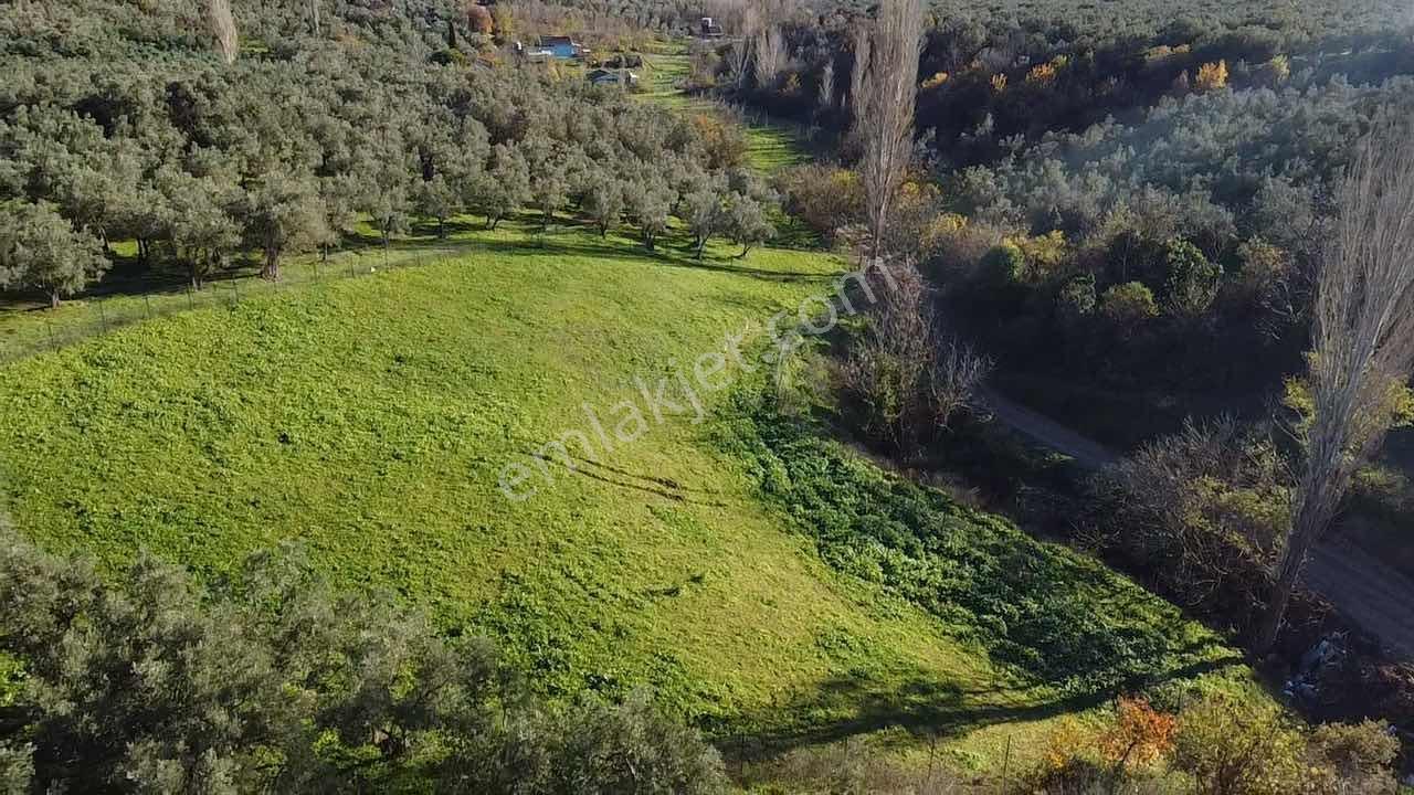 Beka Gayrimenkul'den Yeniköy De 2561 M2 Göl Manzaralı Boş Tarla - Görsel 29