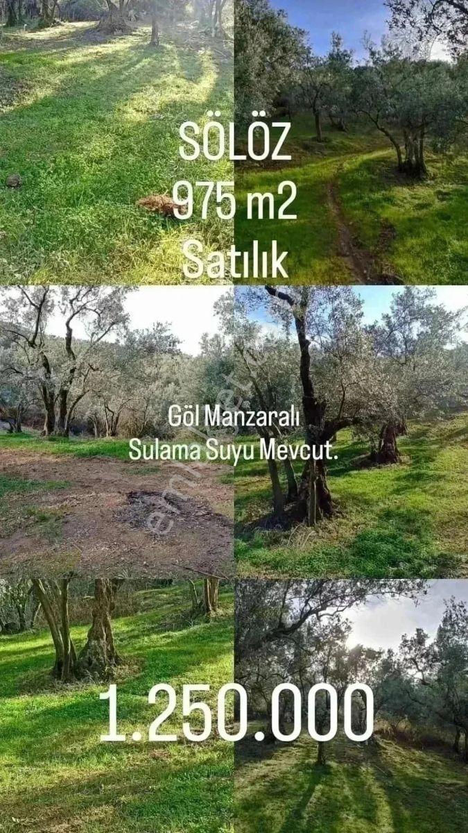 Beka'dan Sölöz Köyünde 975 M2 Göl Manzaralı Hobi Bahçesi