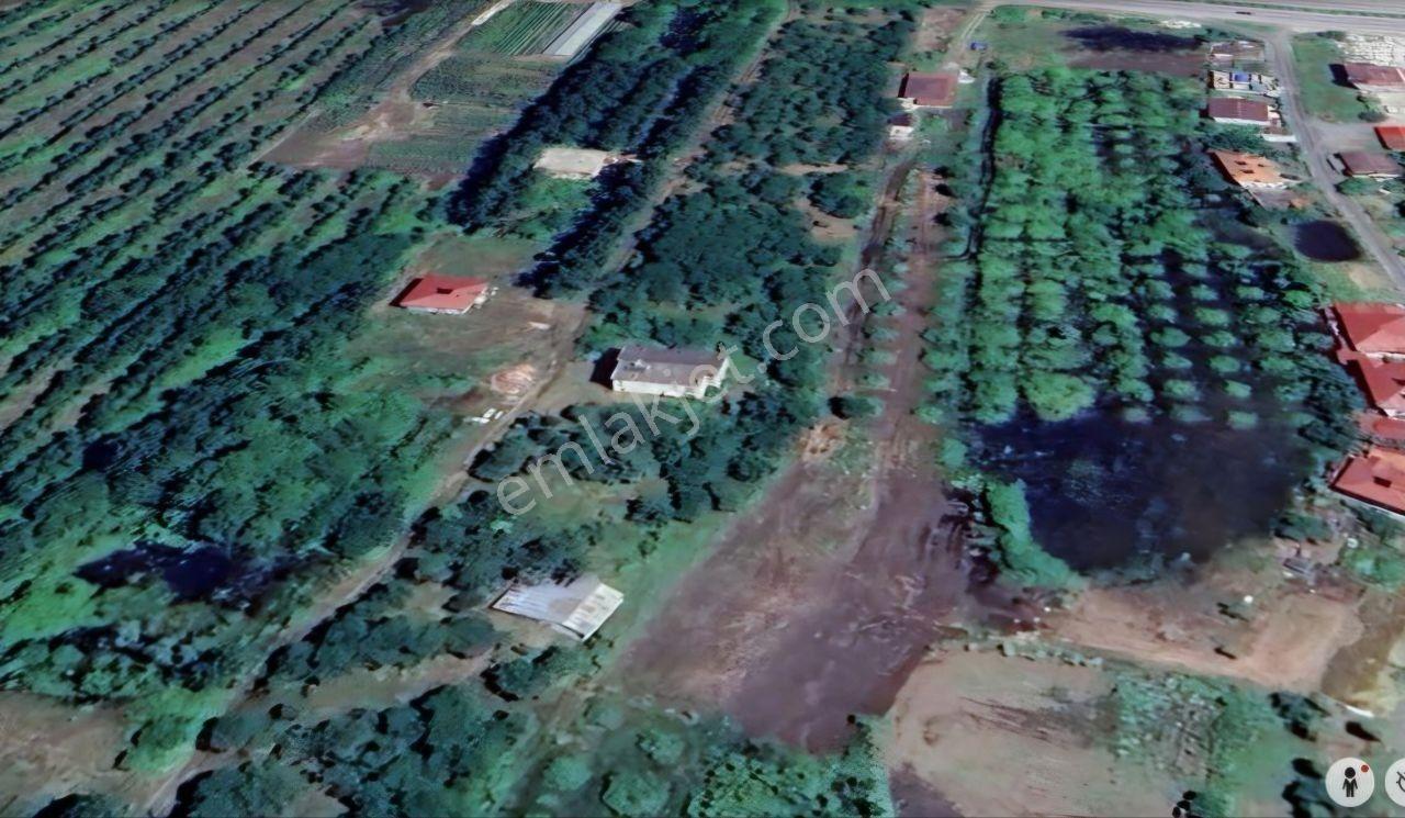 Samsun Terme'de 7.690 M² Konut İmarlı Arsa - Görsel 10