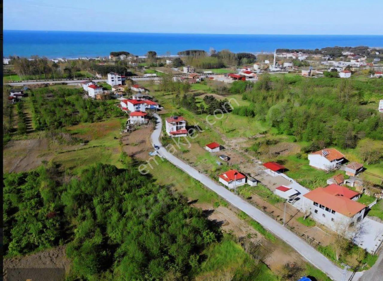 Samsun Terme'de 7.690 M² Konut İmarlı Arsa