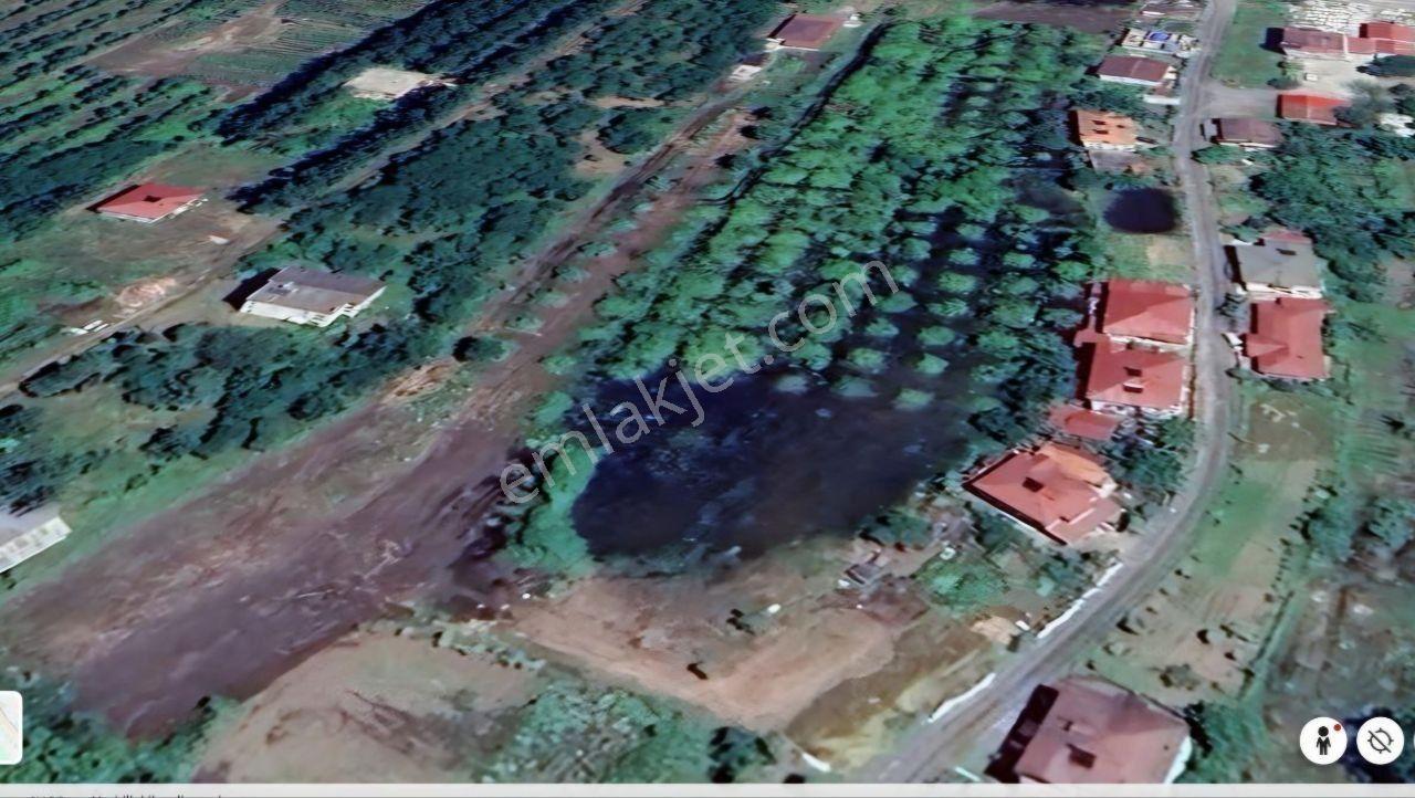 Samsun Terme'de 7.690 M² Konut İmarlı Arsa - Görsel 9