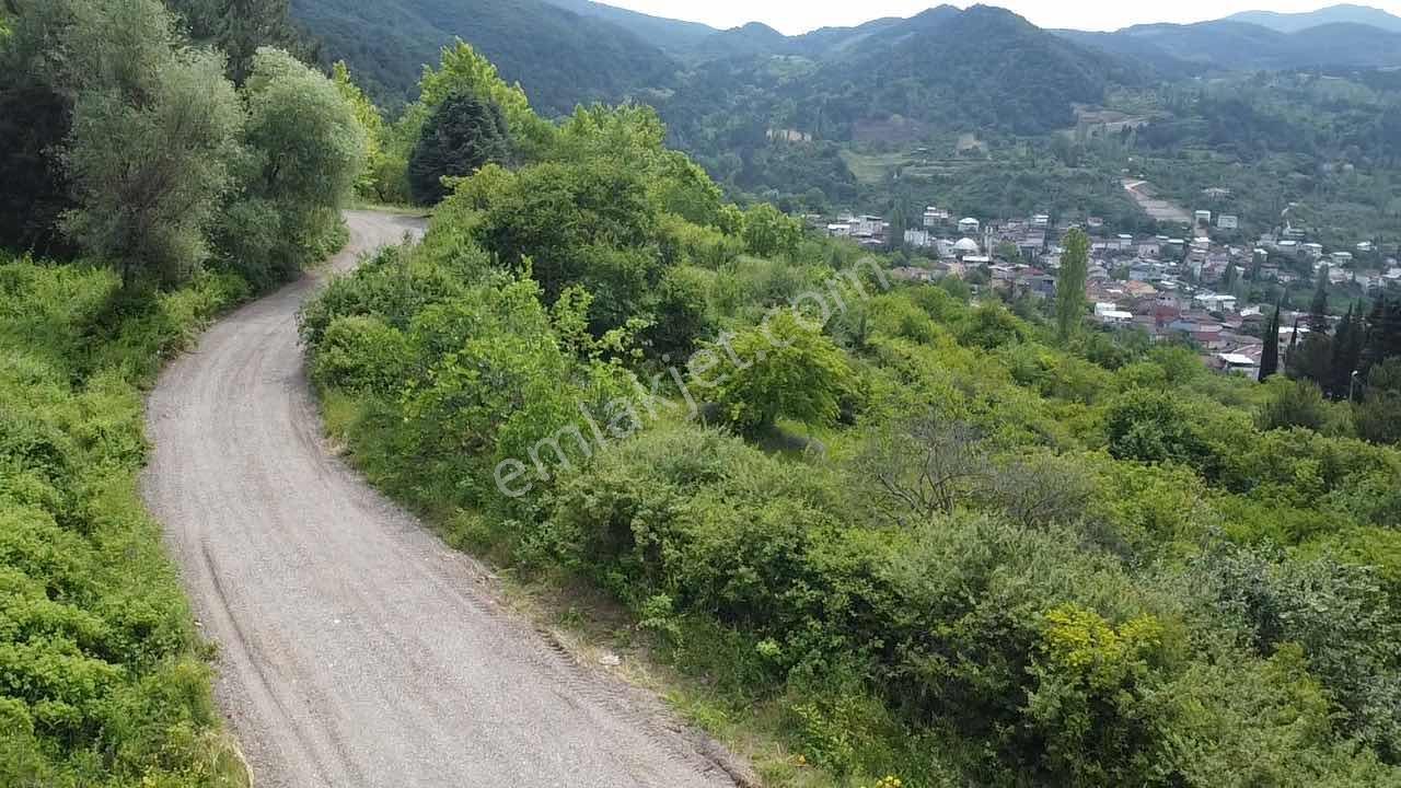 Beka'dan Yenisölöz'de Göl Ve Doğa Manzaralı 7475 M² Tarla - Görsel 17