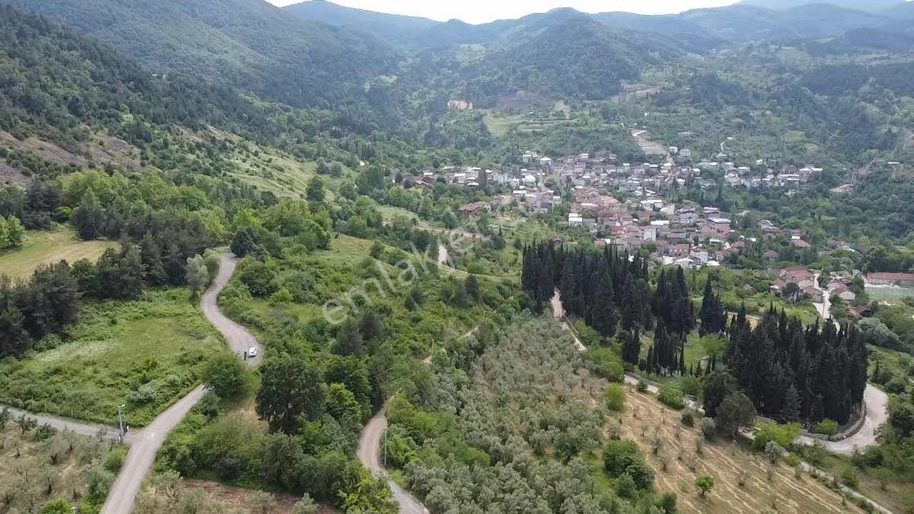 Beka'dan Yenisölöz'de Göl Ve Doğa Manzaralı 7475 M² Tarla - Görsel 11