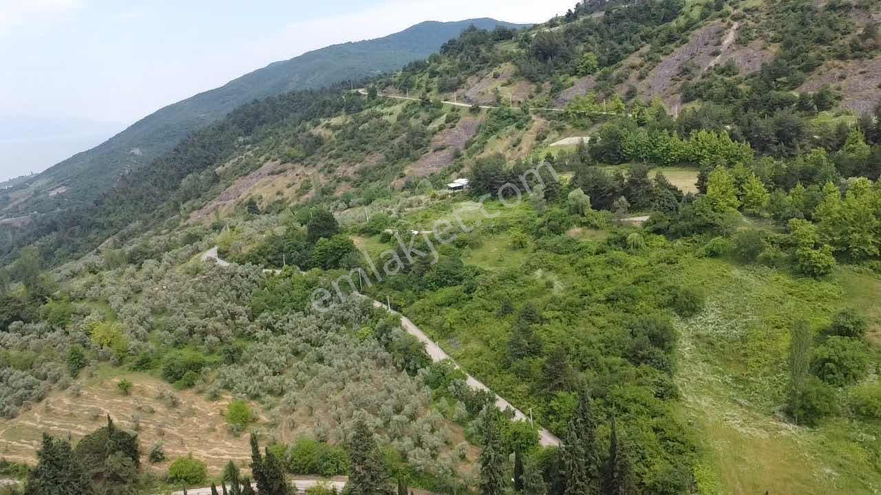 Beka'dan Yenisölöz'de Göl Ve Doğa Manzaralı 7475 M² Tarla - Görsel 3
