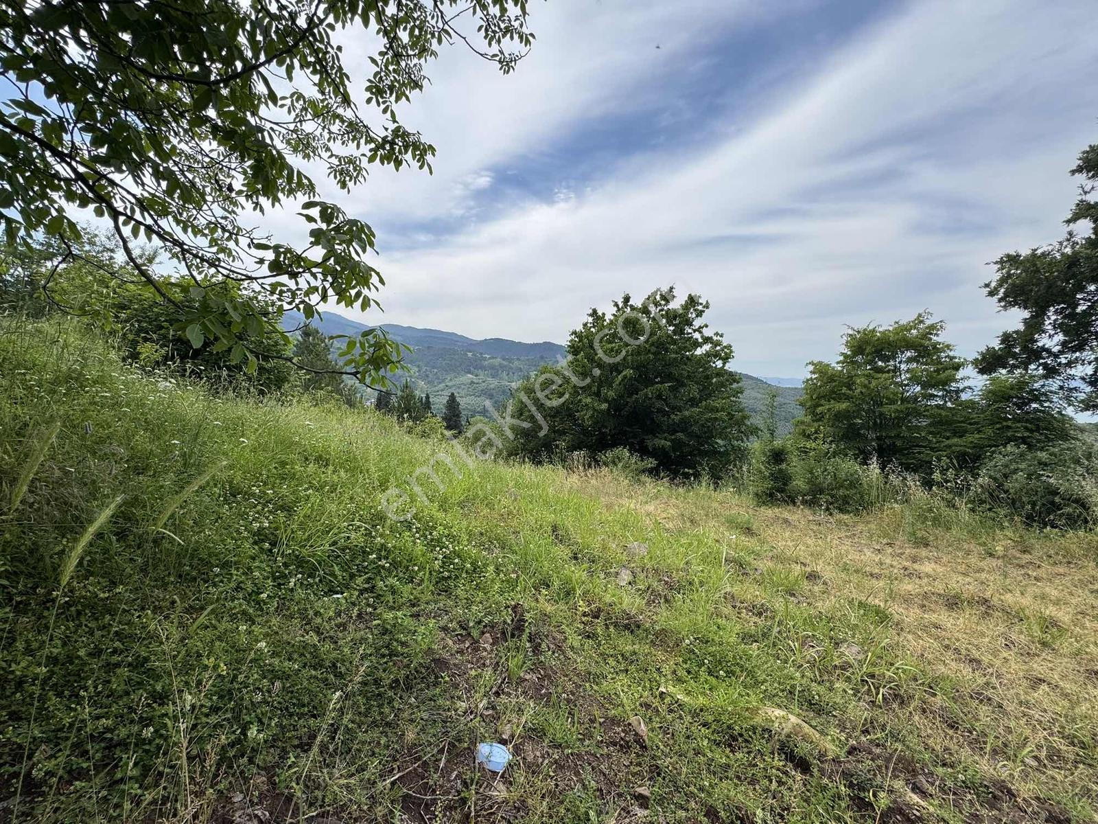 Beka'dan Yenisölöz'de Göl Ve Doğa Manzaralı 7475 M² Tarla - Görsel 32