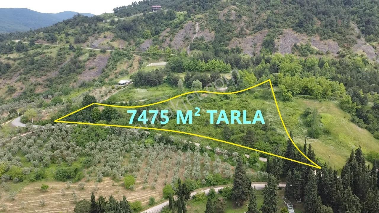 Beka'dan Yenisölöz'de Göl Ve Doğa Manzaralı 7475 M² Tarla - Görsel 23