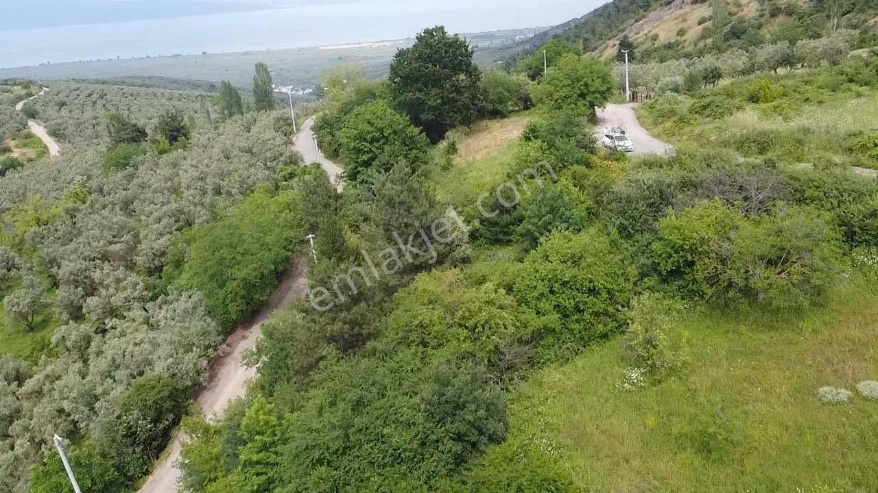Beka'dan Yenisölöz'de Göl Ve Doğa Manzaralı 7475 M² Tarla - Görsel 34